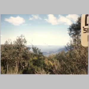 1988-08 - Australia Tour 062 - Blue Mountains.jpg